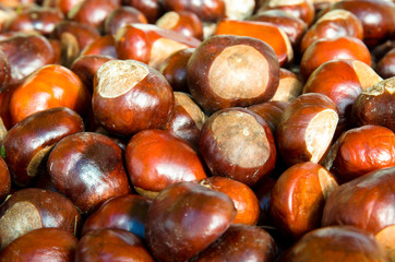 chestnuts