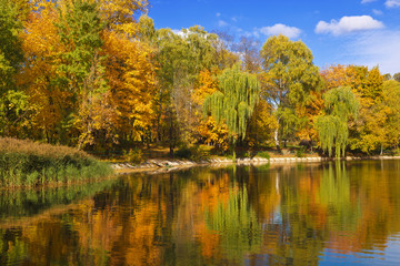 Autumn landscape