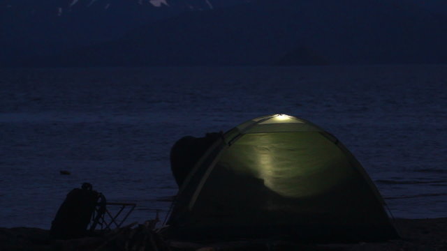 Bear near the tent. Night