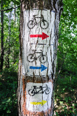 Bicycle tree sign.