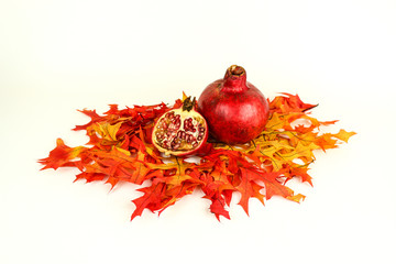 Fall pomegranates