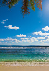 Overhanging Beach Scene