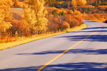 A Scenic Road In Autumn