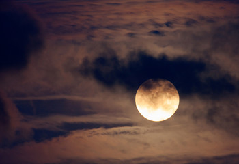 Naklejka na ściany i meble Nice night shot of the full moon