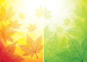 Autumn and summer backgrounds