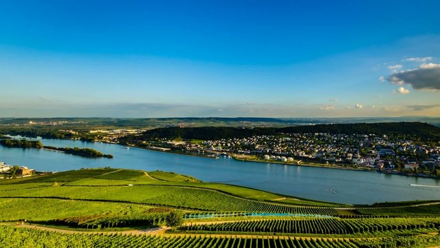 TL - Weinanbau am Rhein