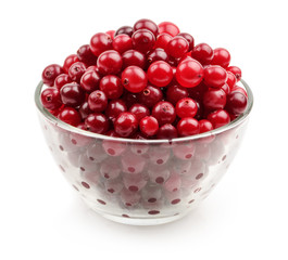 cranberry isolated