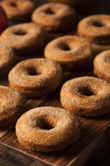 Warm Apple Cider Donuts