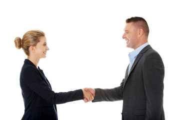Fototapeta premium Handshake