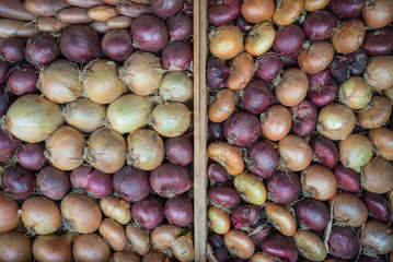 Variety of organic farm fresh onions in wooden box