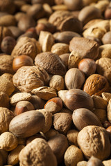 Assortment of Whole Raw Mixed Nuts