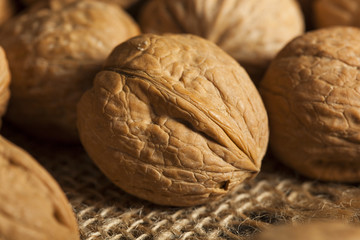 Raw Organic Whole Walnuts