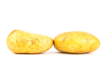 Potato