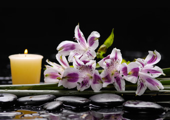 Fototapeta na wymiar Branch beautiful orchid with candle and therapy stones