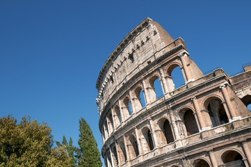 Fototapeta premium Colosseum in Rome - Italy