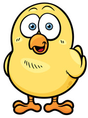 Vector illustration of little chicken