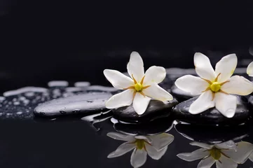 Foto op Plexiglas Twee gardeniabloem op kiezelstenen -bezinningsachtergrond © Mee Ting
