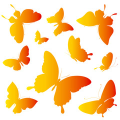 butterflies design