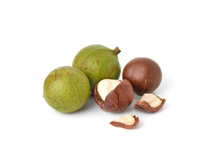 macadamia nuts on white background