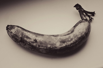 rotten banana - 71024009