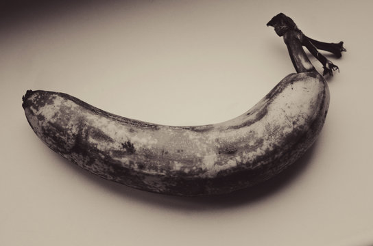 Rotten Banana