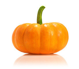 Fresh pumpkin