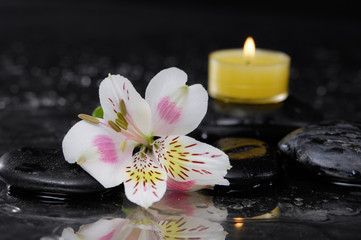Fototapeta na wymiar beautiful white new orchid ,candle with therapy stones