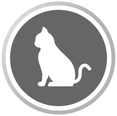 a cat in a grey Panel