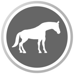 a horse in a grey Panel