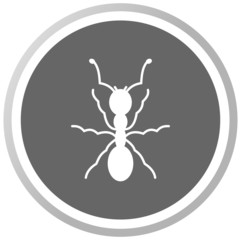 an ant in a grey Panel