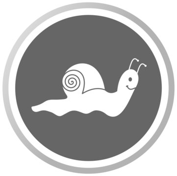 a snail in a grey Panel