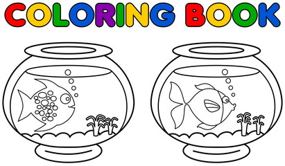two aquarium with fish coloring