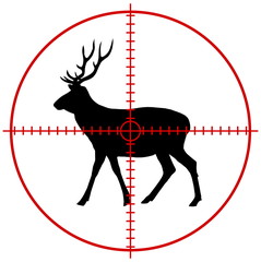 a deer in a target © koft