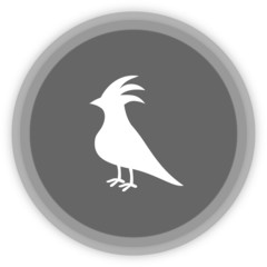 a bird in a grey Panel