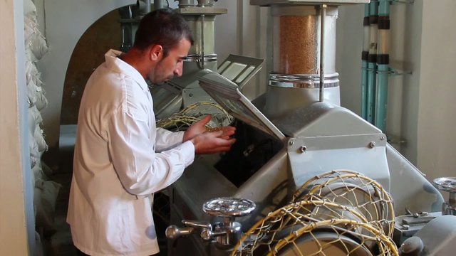 Wheat milling. Wheat flour milling machine.