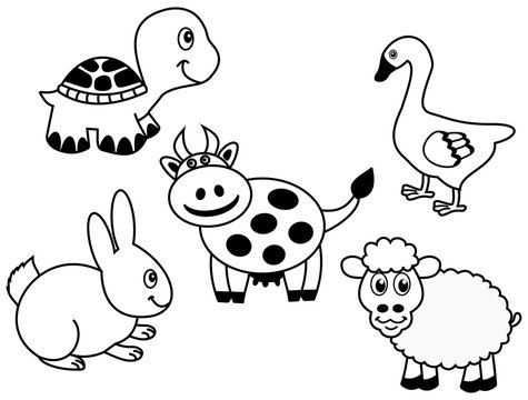 representation of a group of animals
