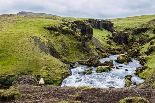 Skogarfoss skógafoss rivière chutes Islande