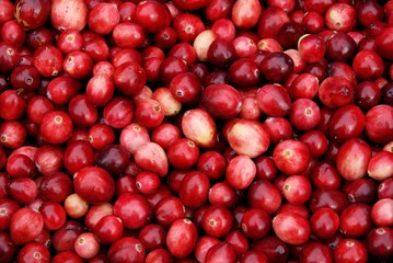 cranberry berries