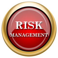 Risk management icon