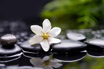 Foto op Canvas gardenia flower on pebbles with green plant © Mee Ting