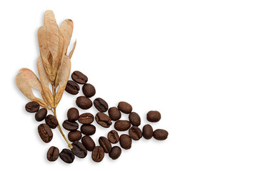 Composition with maple seeds and coffee beans isolated