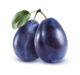 Whole blue plums isolated on white background
