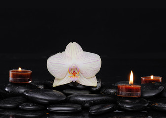 Fototapeta na wymiar White orchid with three candle on black stones background
