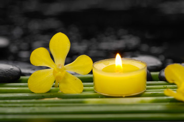 Obraz na płótnie Canvas yellow orchid and candle with green plant stem