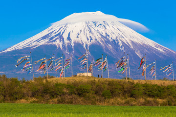 Fototapeta premium Colorful carp banners and Mount Fuji