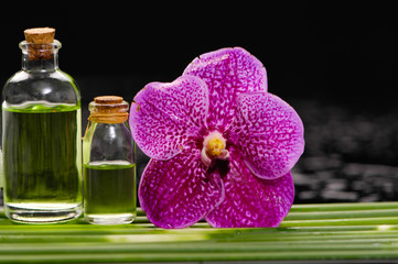 Obraz na płótnie Canvas spa concept –pink orchid and massage oil with green plant stem