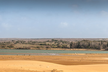 Fototapeta na wymiar Souss Masa National Park