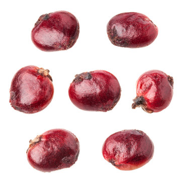 Dried Sumac berries isolated on white, macro