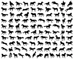 Foto op Canvas Big set of horses silhouettes, vector illustration © Design Studio RM