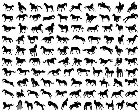 Big set of horses silhouettes, vector illustration